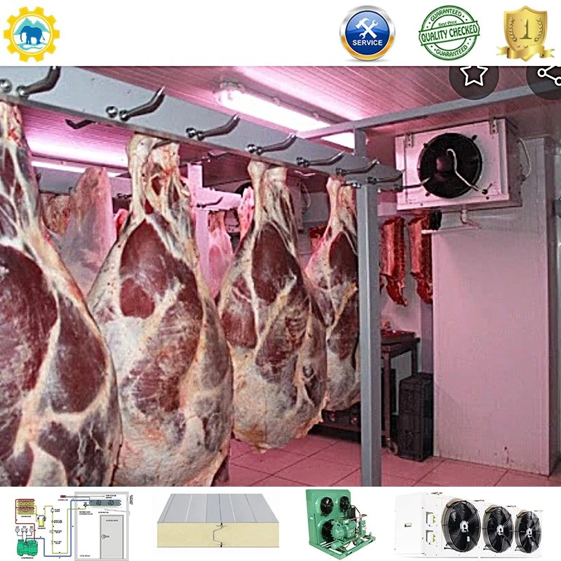 Restaurant Food Storage Deep Freezer Cold Room/Commercial Walk-in Freezer/Compressor Freezer Room