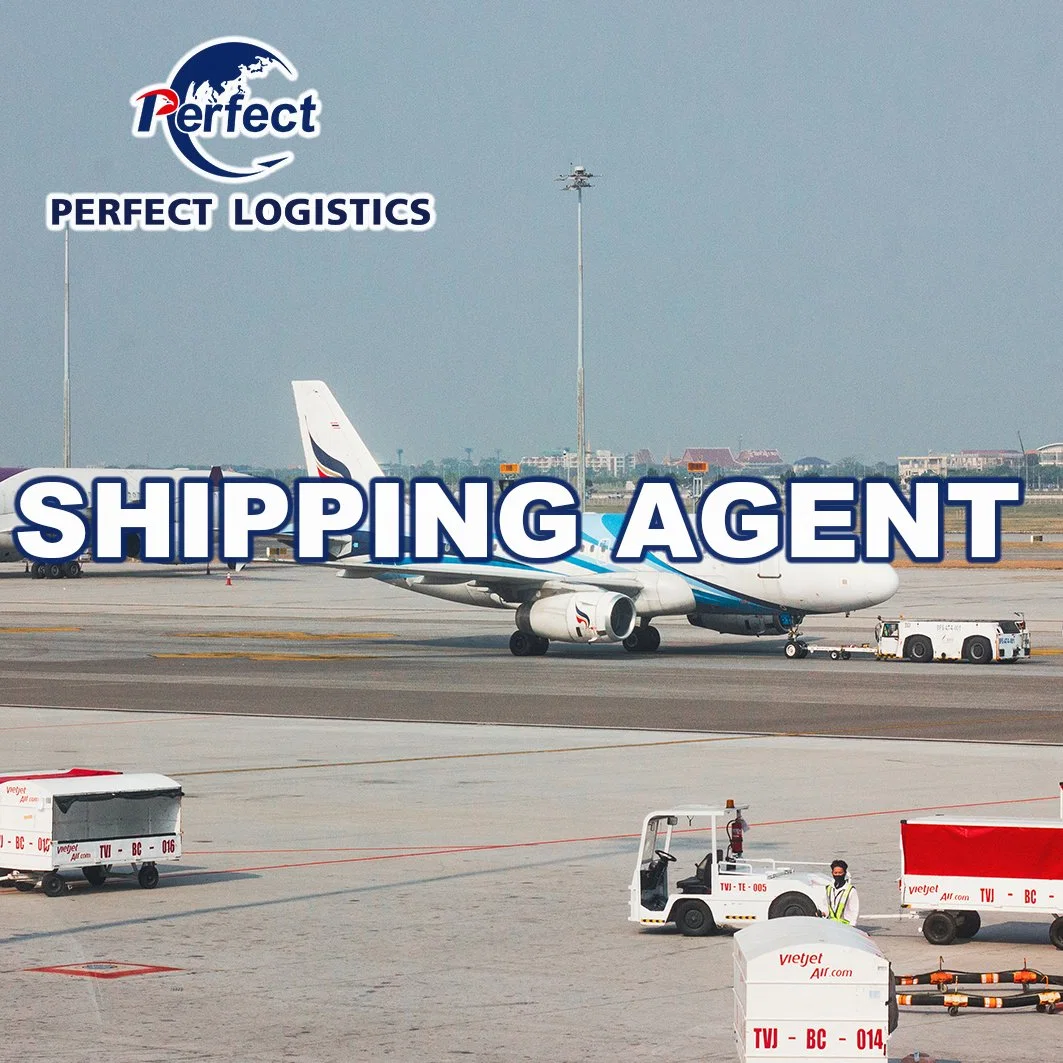 International Logistics From China to South Africa, Ghana, Nigeria, Senegal Shipping Agent FCL/LCL Sea Freight