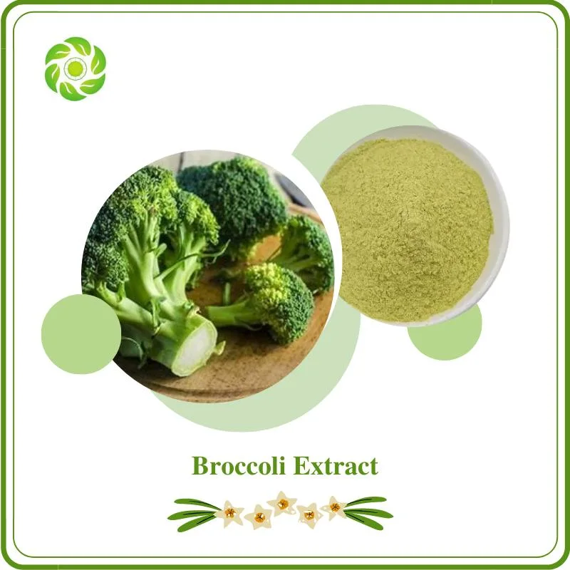 World Well-Being Food Additive Pharmaceutical Chemical 20% Sulforaphane Glucosinolate Glucoraphanin Powder Broccoli Extract