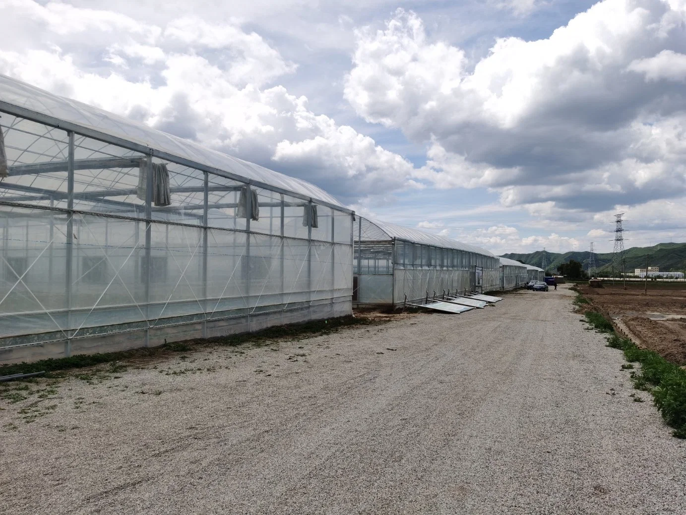 Filme PC Folha Agrícola Multi-Span Greenhouses Hydroponics legumes tomate / pepino Pepper Flores frutas