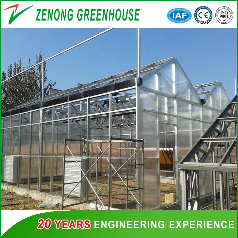 Polycarbonate Greenhouse for Poultry Farm/Flower House