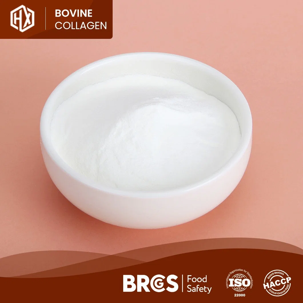 Haoxiang 100% Soluble Odorless Bovine Collagen Peptide Powder Quality Hydrolyzed Bovine Hide Collagen China Manufacturers One-Stop Service Bovine Hides Collagen