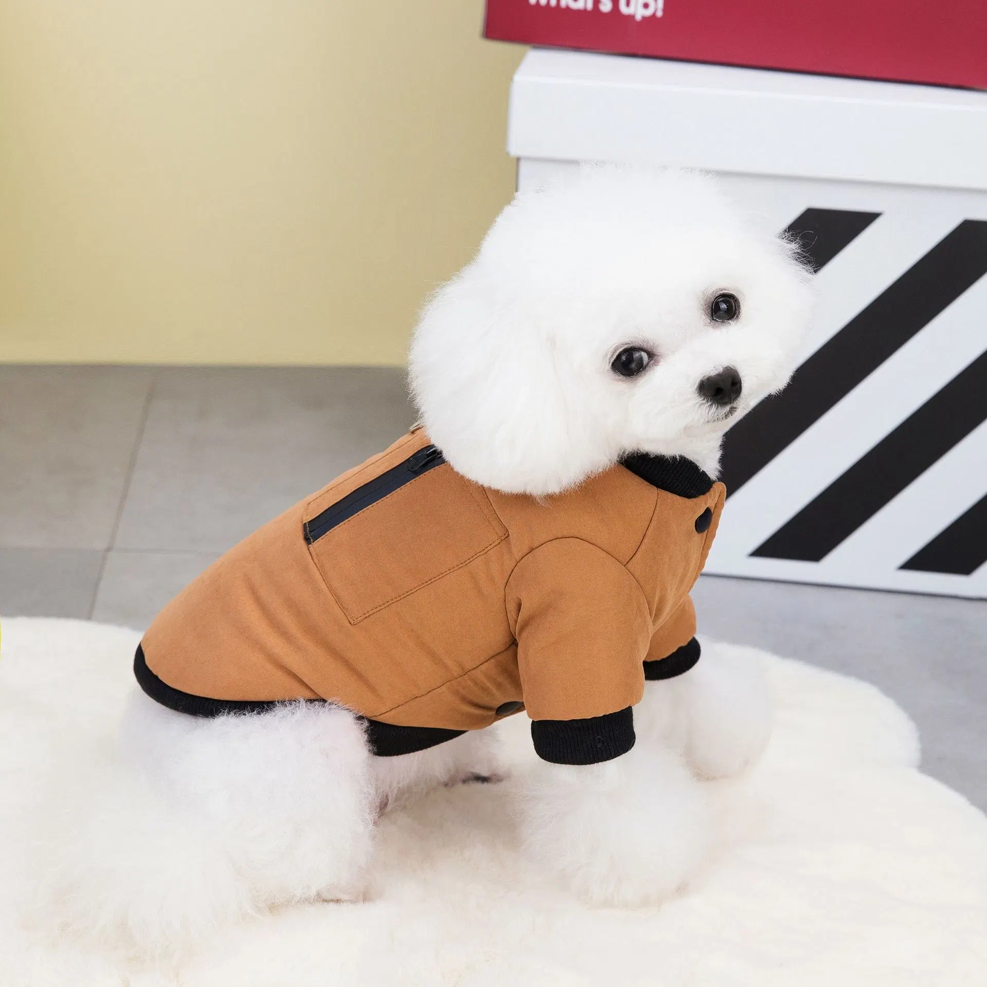 Mascota perro ropa casual Ropa de moda Hoodie accesorios para mascotas