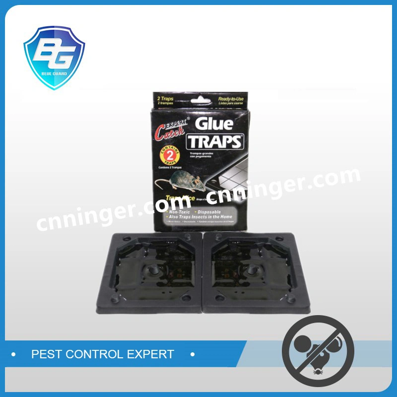 High quality/High cost performance Plastic Mouse Glue Traps