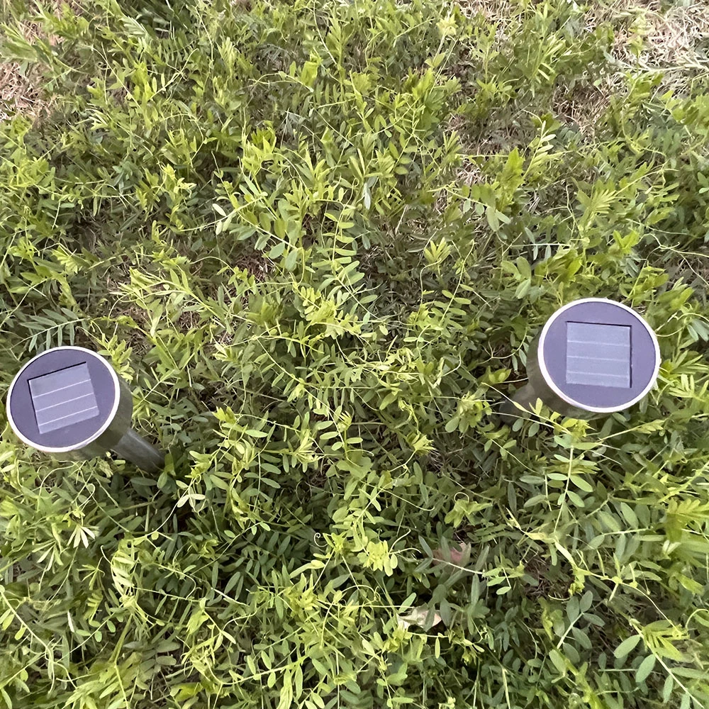 Hohe Qualität/hohe Kostenleistung Außenbeleuchtung Wasserdicht Mini Solar Lights Solar Lawn Leuchten