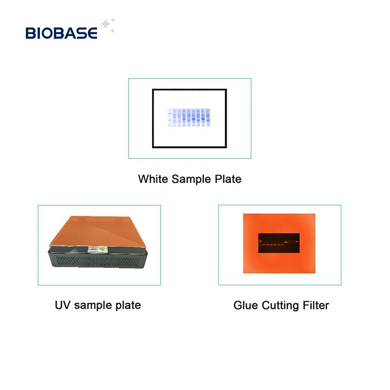 Sistema de Ayálisis de Imágenes de Gel automático BioBase equipos de electroforesis para laboratorio