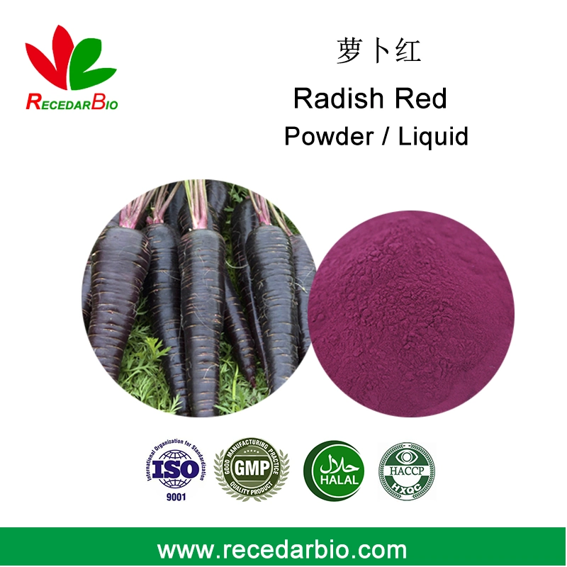 Natural Food Colorants Color Pigments Radish Red Powder or Liquid