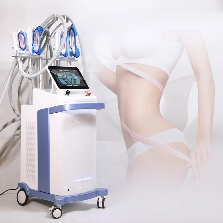 Cuerpo Cryolipolysisfreezing Equipo Salón de belleza de la máquina de adelgazamiento