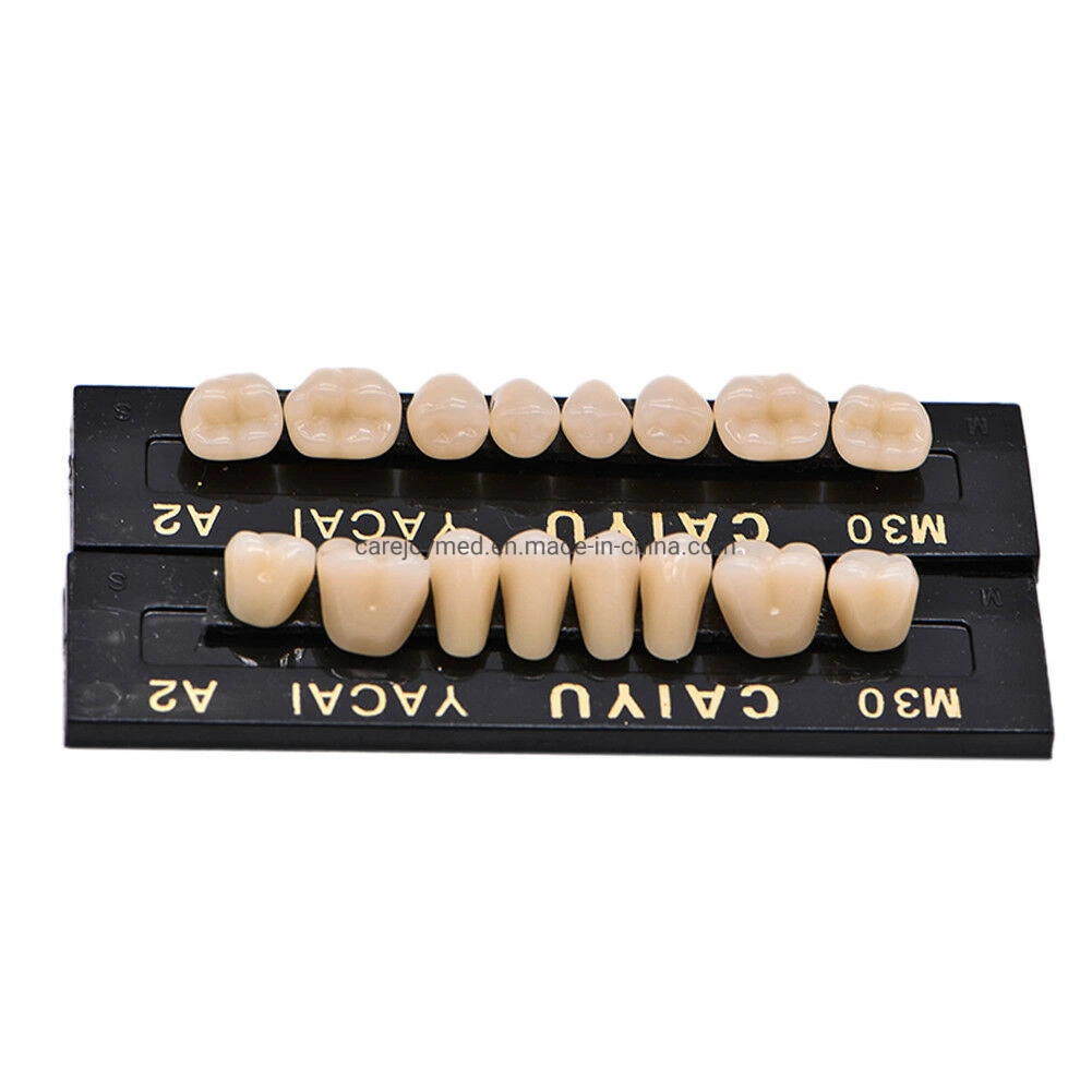 Factory Advanced Type Dental Artificial Denture Acrylic Resin Teeth Set