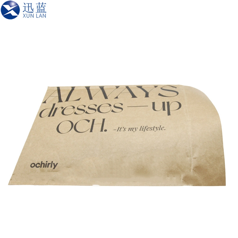 Custom Printing Courier Brown Kraft Paper Padded Mailing Envelopes Packing Clothes