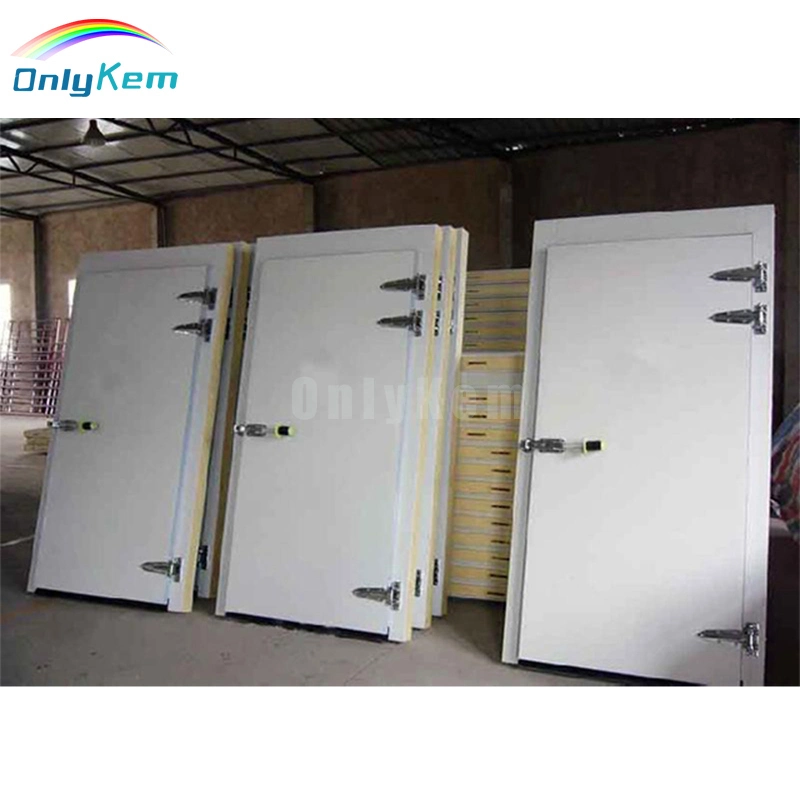 Industrial Thermal Insulated Stainless Steel Hinged Cold Room Swing Door for Blast Freezer Room