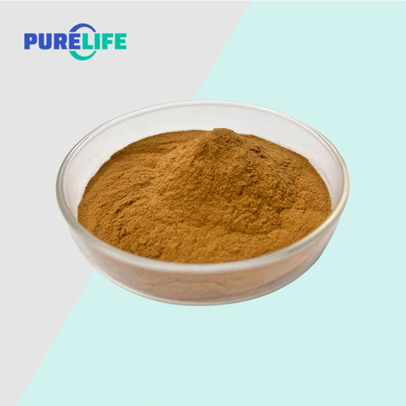 Natürliches Reines Agaricus Blazei Extrakt 30%-60% Polysaccharid Brown Yellow Powder