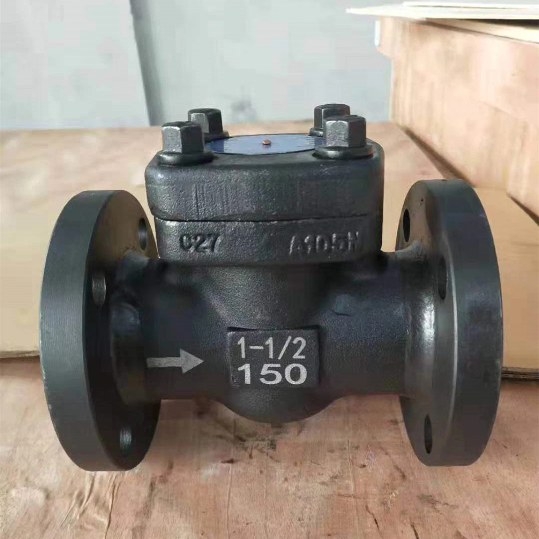 API 602 150 800 Pound Grade Forging Steel Ss Brass Spring Check Valve