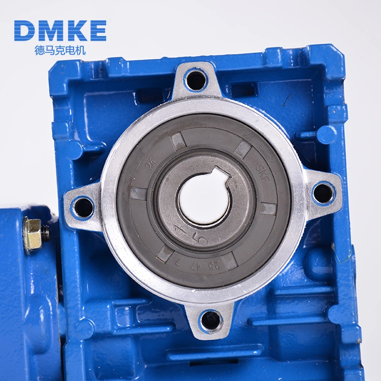 12 24 V Brush Electric Worm Motor Manufacturer Totally Enclosed 30W 40W Permanent Magnet Brush DC Worm Gear Reducer Motor