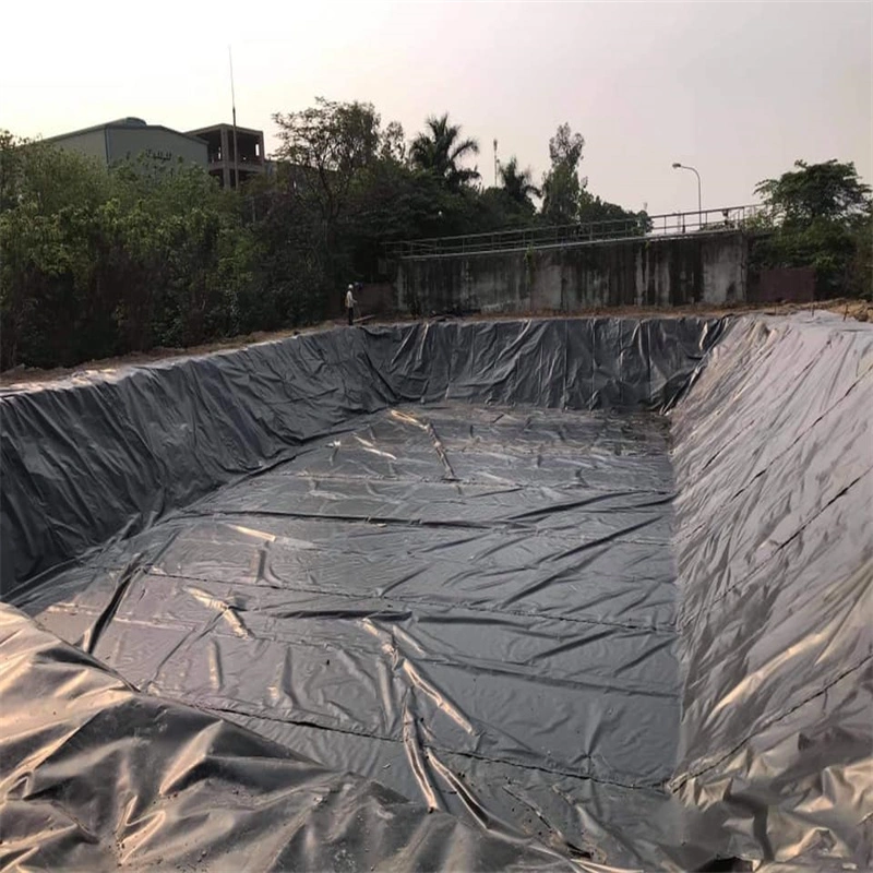 Mining Landfill Dam Plastic Sheet Membrane Tank Film Pond Liner