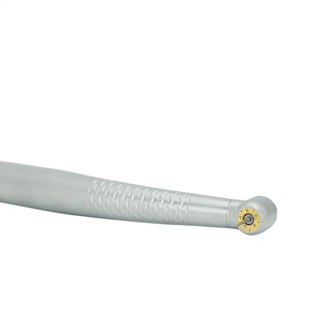 Wdent Oral LED Handpiece Cricle Light High Speed Handpiece 2/4 Holes