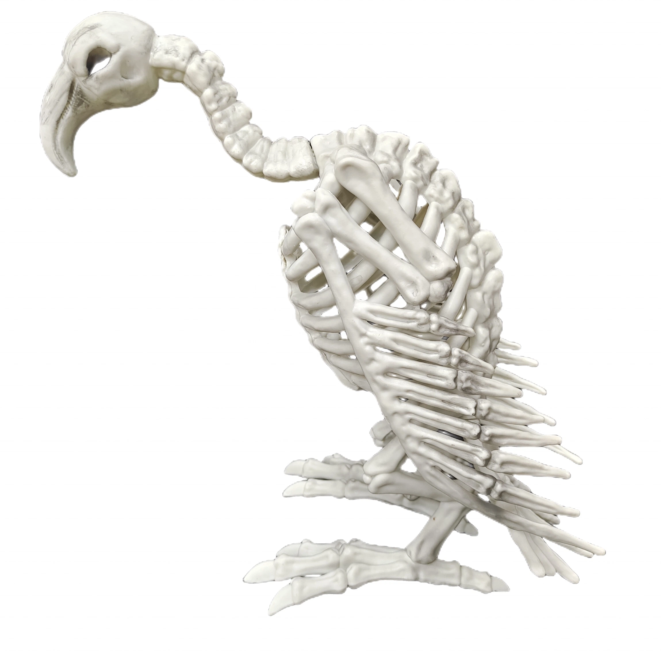 Vautour squelette Animal de moulage par injection squelette Décoration d'Halloween