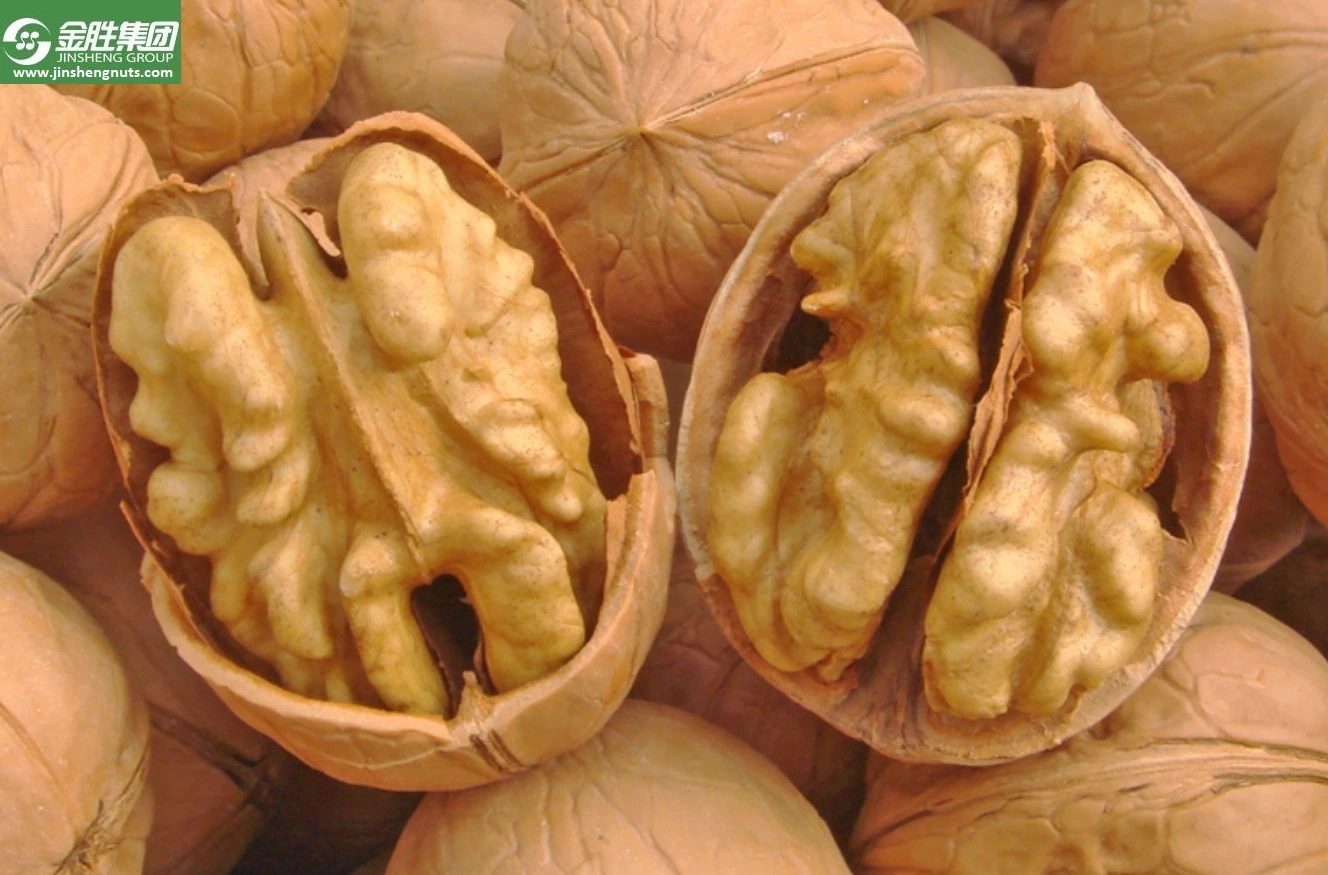 Xinjiang Origin Excellent Quality Walnuts in Shell at Wholesale/Supplier Price