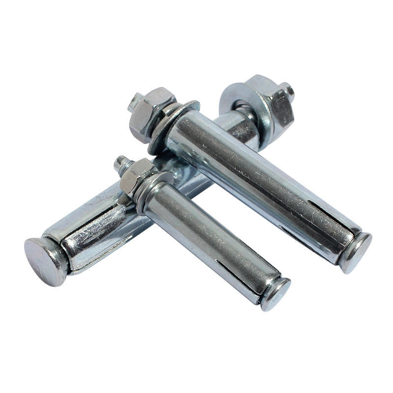 Stainless Steel 304 316 A2 A4 6.8 4.8 Grade Standard Size Concrete Expansion Screw Sleeve Anchor Bolt