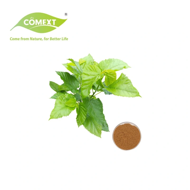 Comext Direct Factory Price 10% HPLC Polysaccharides for Blood Sugar Morus Alba White Mulberry Leaf Extract