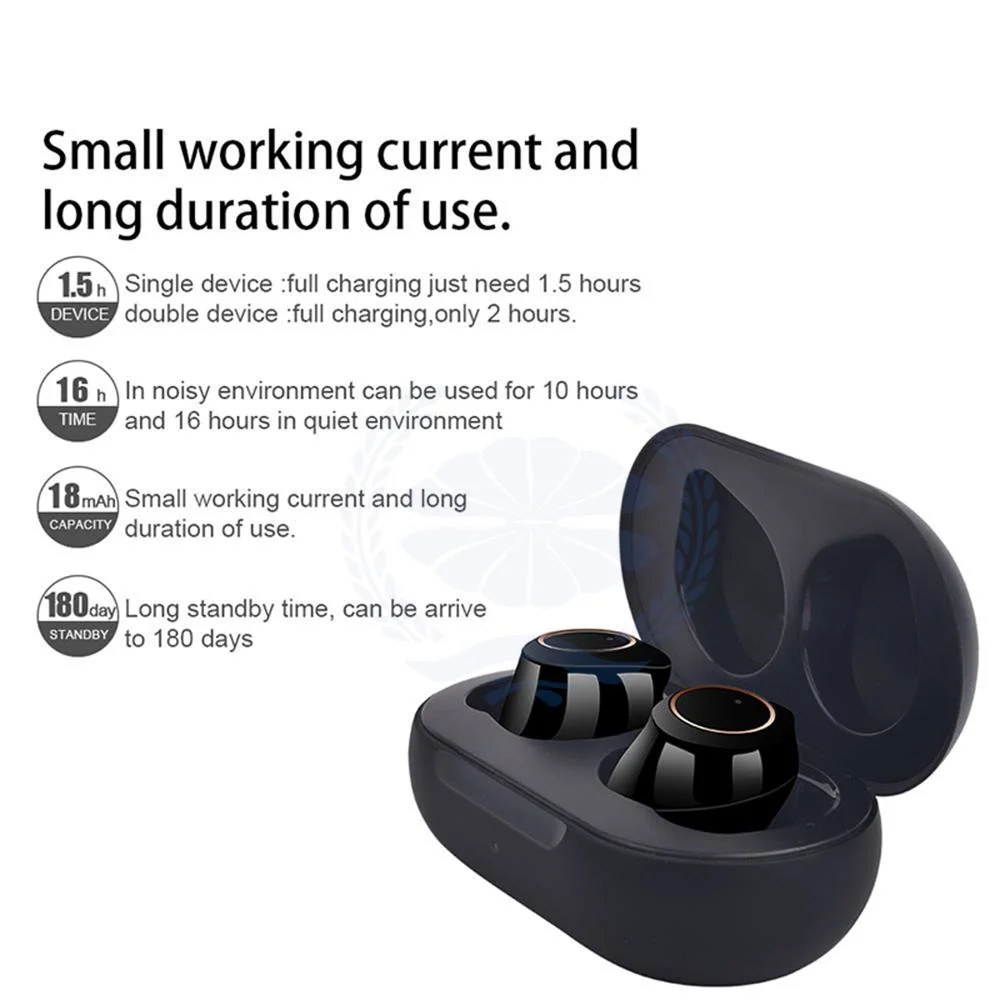 Wireless Bluetooth Hearing Aid Sound Amplifier Cic Rechargeable Box Earphone Hearing Aid for The Elderly
