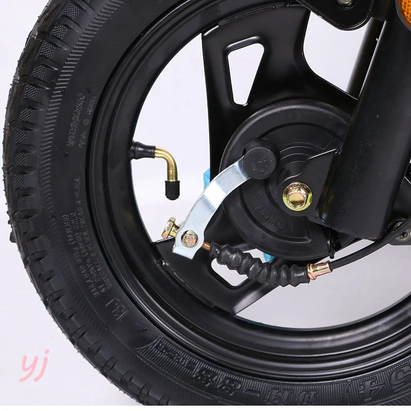 Wholesale/Supplier ce Certification 60V 500W Cargo Electric Bike; Ebike; Electric Bicycle Original Factory Supply haute qualité