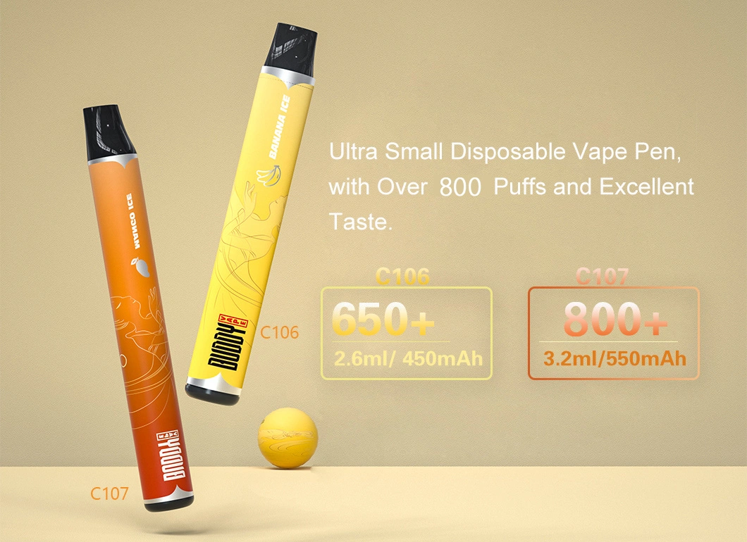 1000puffs Wholesale/Supplier Electronic Cigarette Mini Disposable/Chargeable Vape Pen for Nicotine Salt OEM