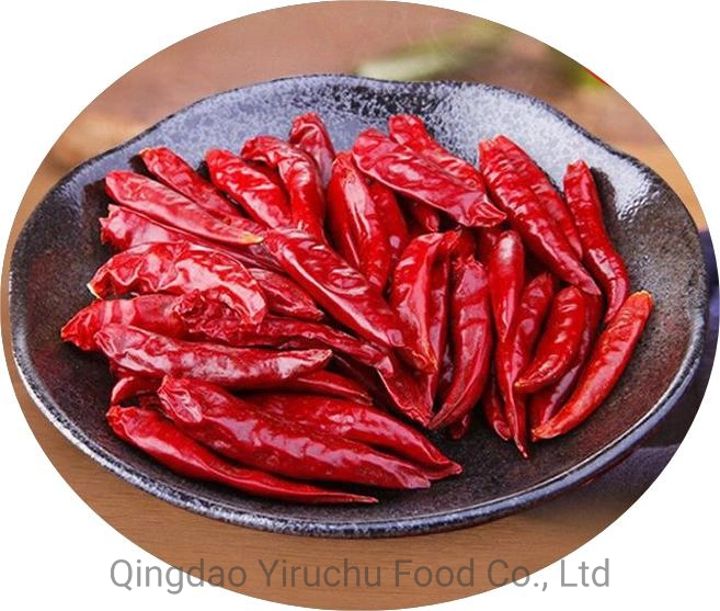 Hot Spicy Wholesale/Supplier Price Dried Chilli Chaotian Dry Red Chilli