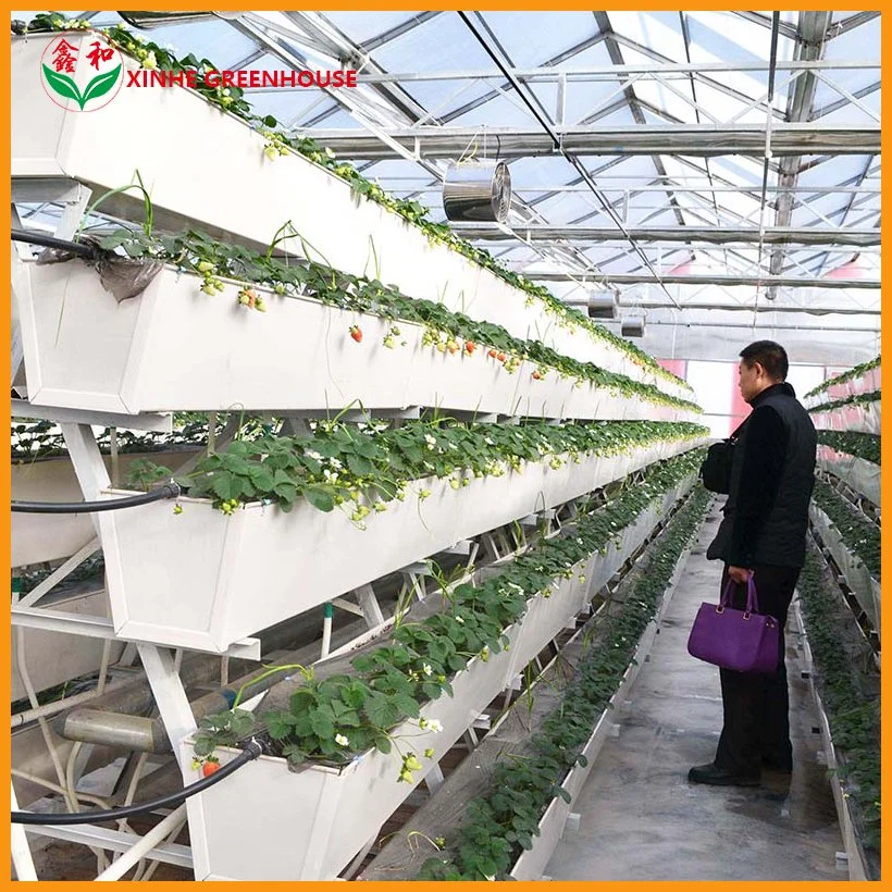 Automatic Shading System Film Multi-Span Hydroponic Greenhouse