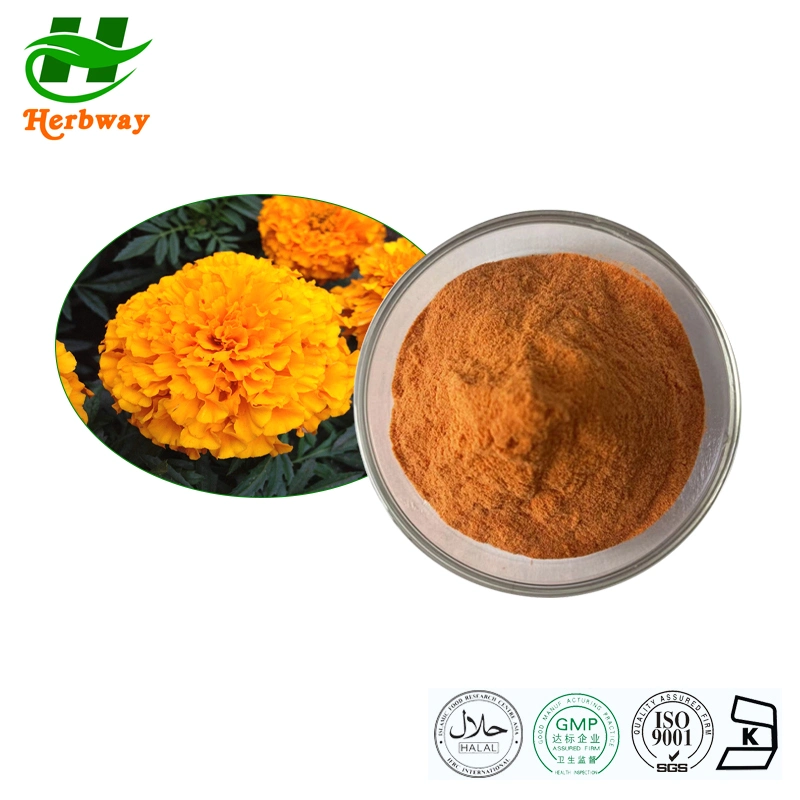 Herbway Kosher Halal FSSC HACCP Сертифицировано Zeaxanthin Lutein порошок Marigold Извлеките