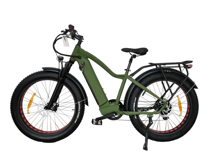 Queene/Ebike Fat Tire Electric Bike E-Bike Aluminum Alloy 26 Inch 48V Electric Fat Tire Bike Adult