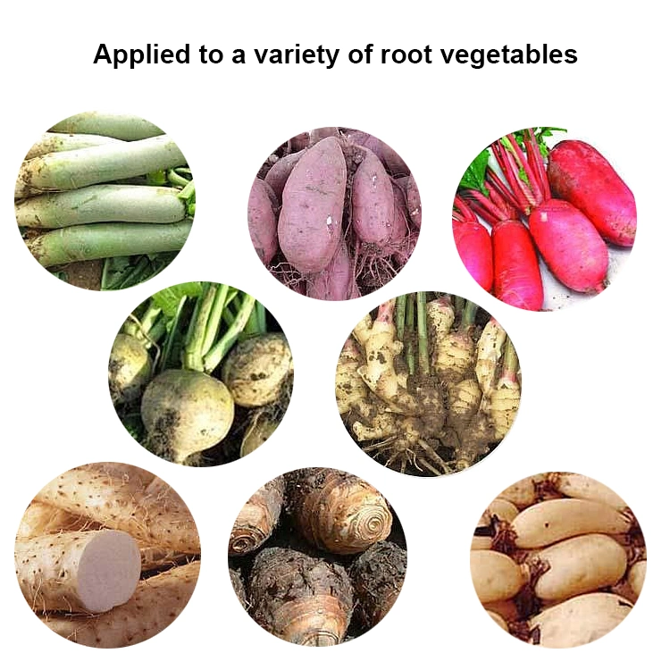 Cubo de cebola com desmancha automática de cubos de frutas vegetais Máquina Cutter vegetal elétrico batata gelo Lime vegetal alho vegetal Cortador