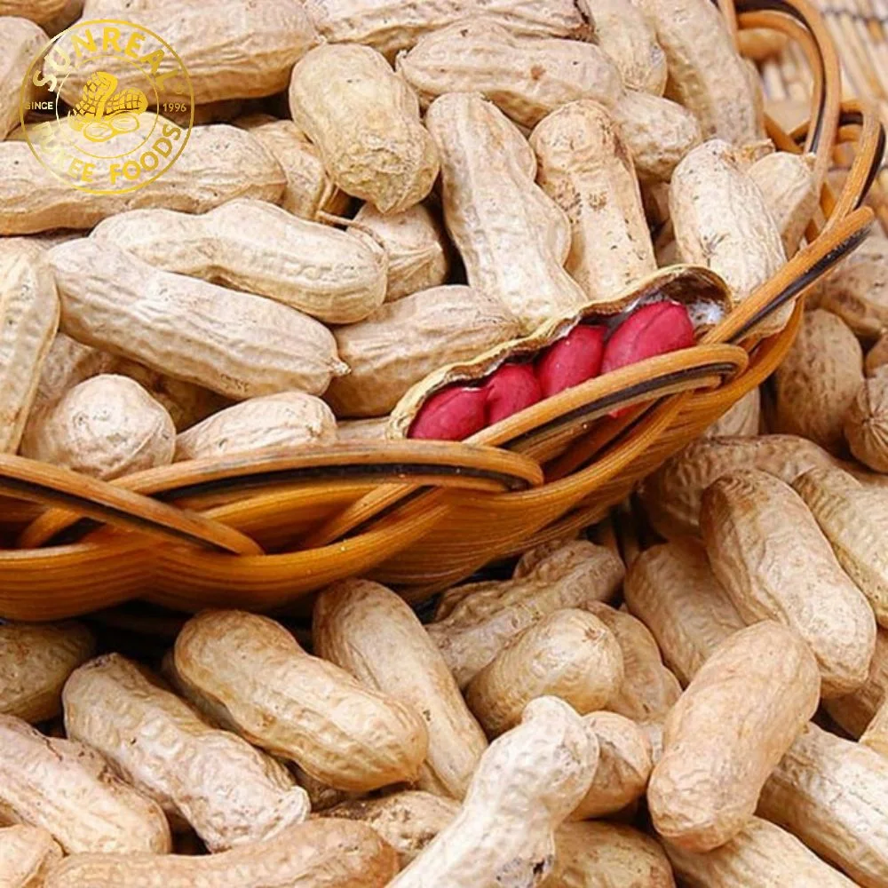 Roasted Peanut in Shell/Red Skin Peanut in Shell/Best Quality From China Good Shape