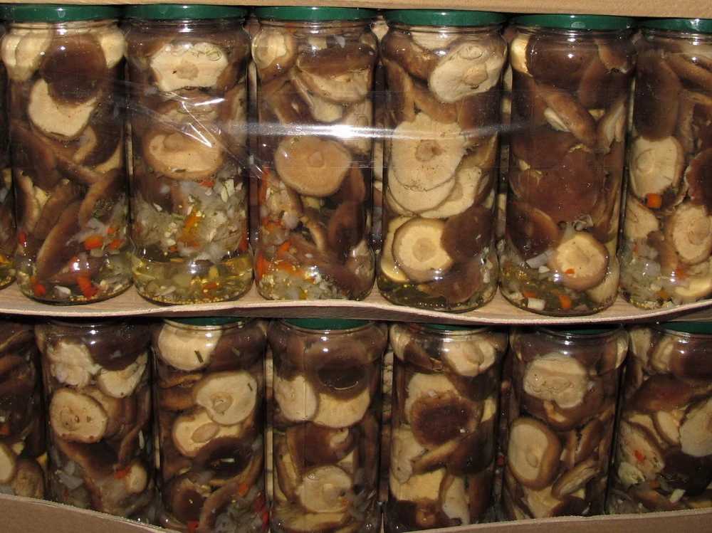 Canned Shiitake Mushroom From China