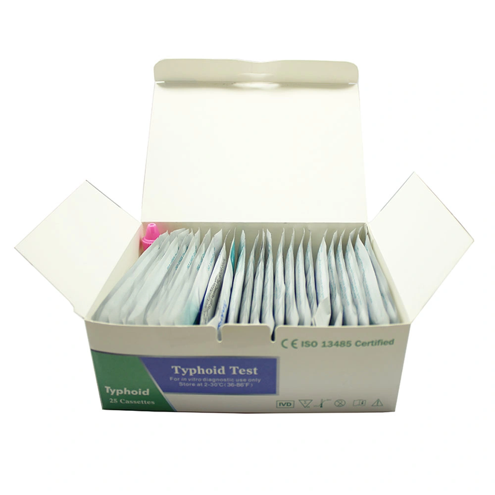 Dianostic Typhoid Igg/Igm Rapid Test