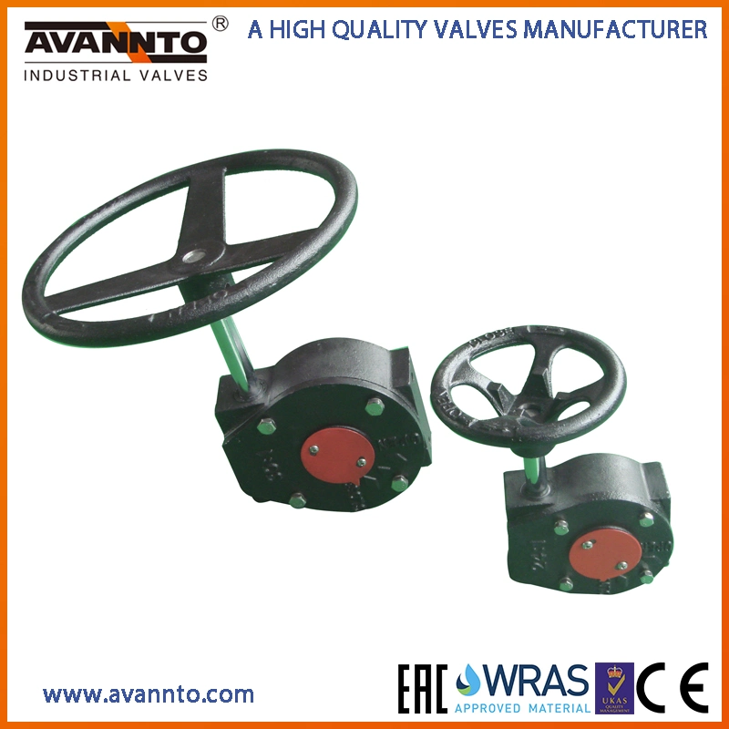 Double Flange Butterfly Valve with Gearbox Pn6/Pn10/Pn16