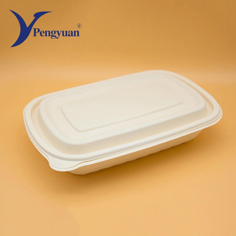 Multi-Style Food Container with Lid and Degradable Corn Starch Material