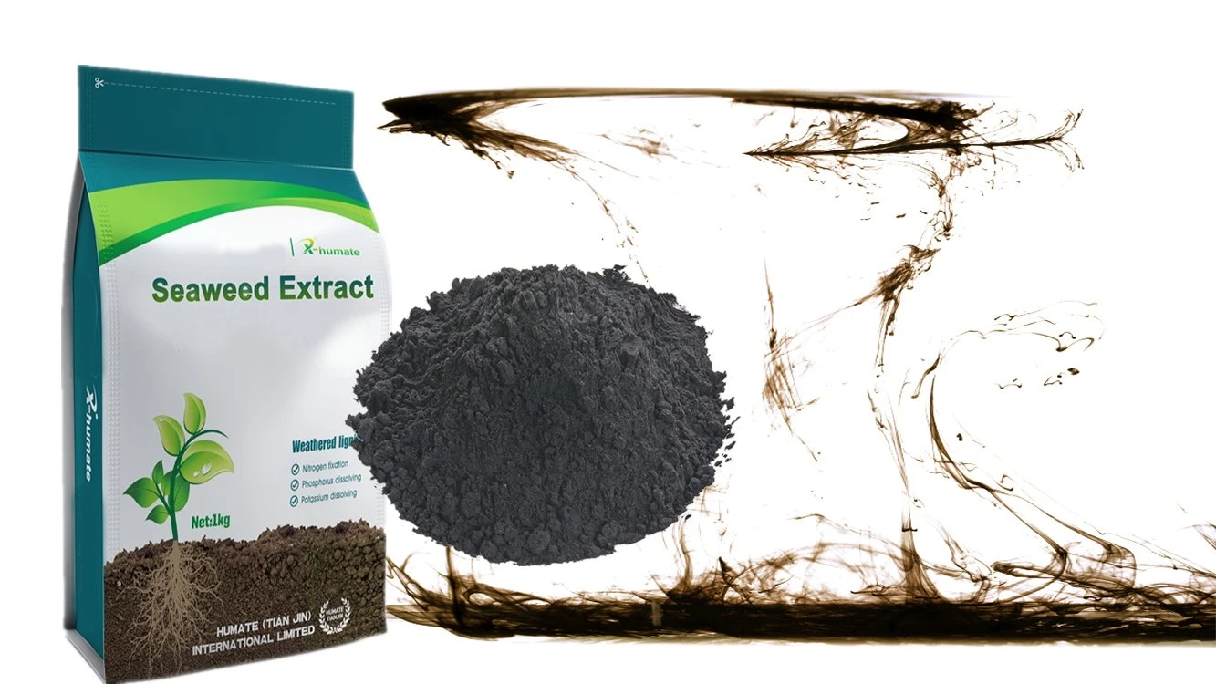 Agriculture Organic Fertilizer 100% Soluble in Water Powder Seaweed Extract