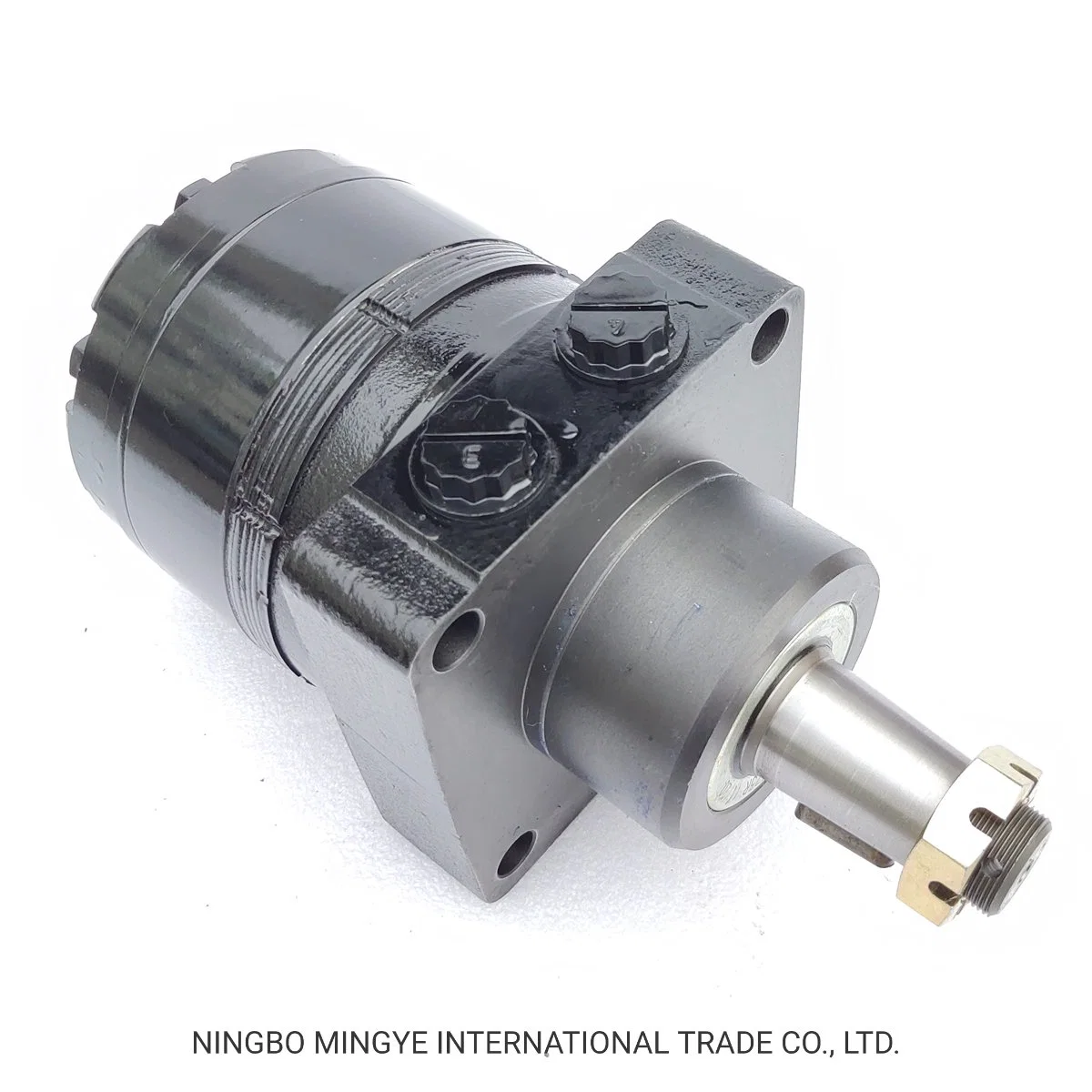 Best Price Hydraulic Motor Parts Engine Omh 500 Hydraulic Motor Oil Pump