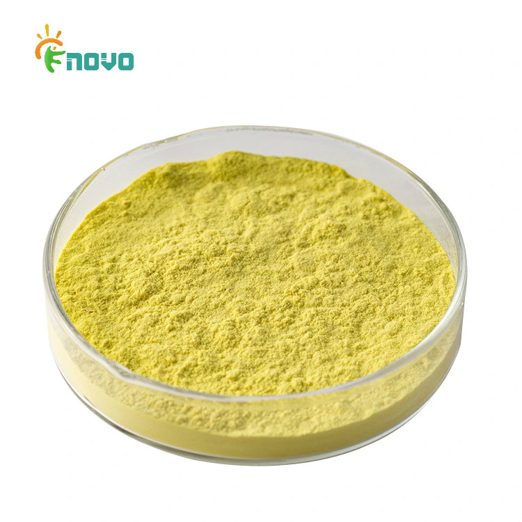 Factory Supply Halal Pure Orange Juice Powder for Beverage