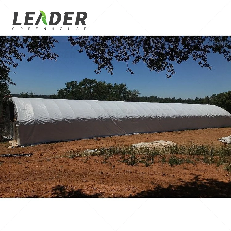 Single-Span Agricultural Greenhouses Produce Plastic-Covered Low-Cost Growing Greenhouses Farming