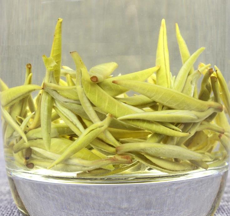 Bi Luo Chun Green Tea Special Grade