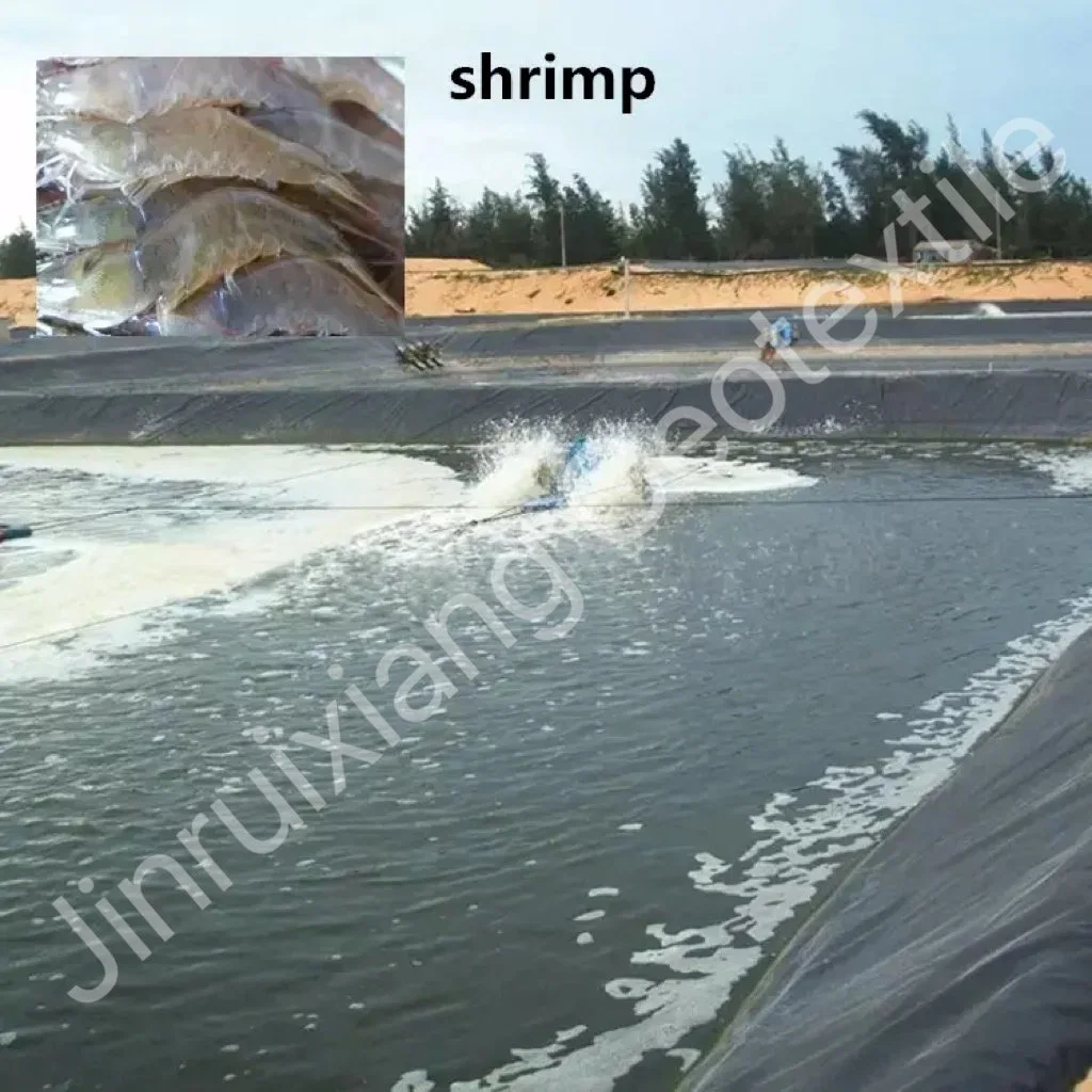 Geomembrane HDPE 1mm Pond Liner Hot Sale Cheap Price Geomembrane Sheet High Strength Anti-UV