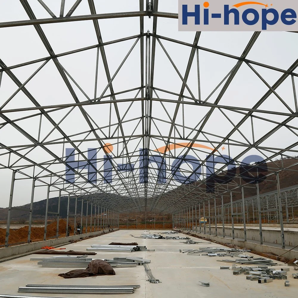 Cheap Chicken Shed Prefabricated Steel Structure in China