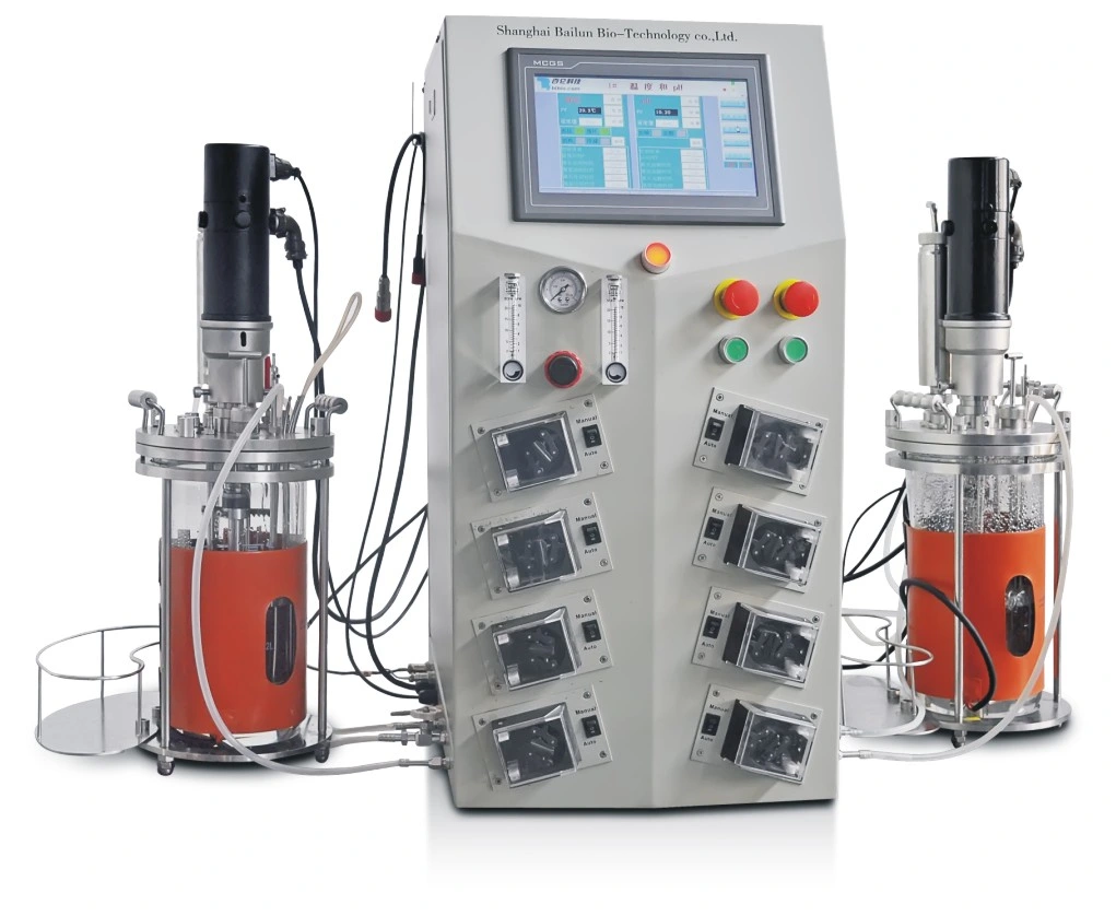 Diagrama Muti-conectado de vidrio industrial lecho empacado biorreactores fermentador