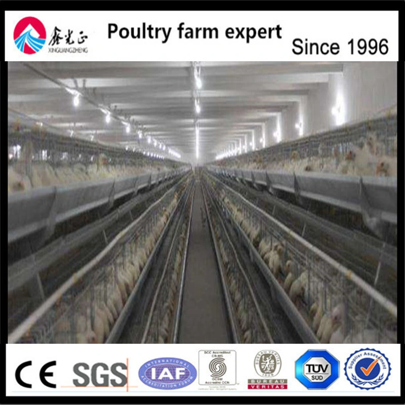 Factory Supply High quality/High cost performance  Poultry Farm Equipment Chiken Battery Layer Cage for Poulty Farm