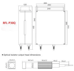 Source d'alimentation de marquage laser à fibres Raycus RFL-P30q 30 W, 220 V.