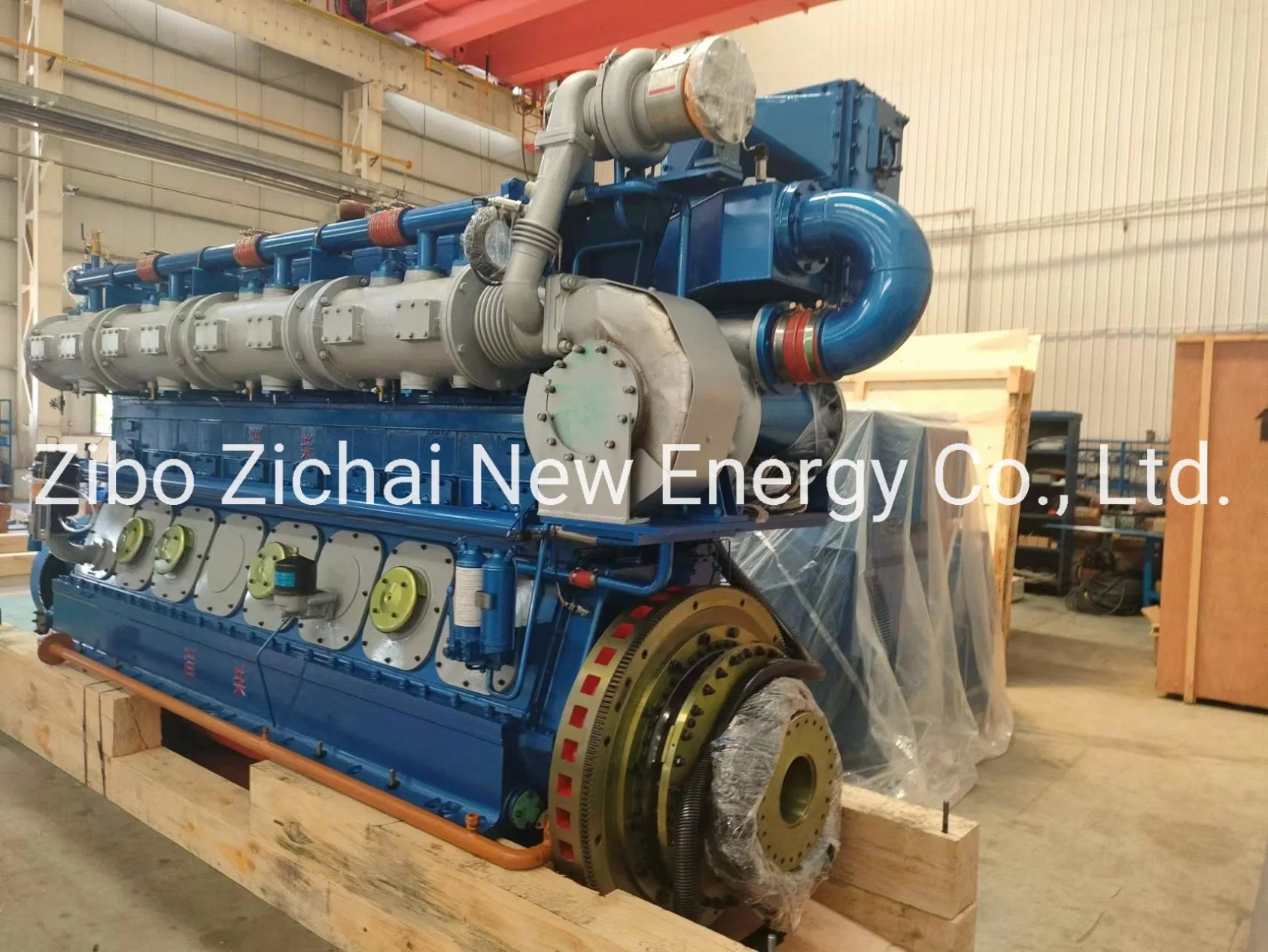 20kw~900kw High Performance Gas CHP Generator for Biogas Plant