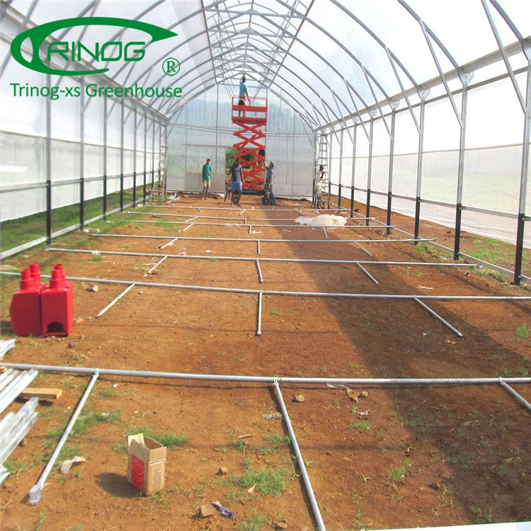 Hot Sale Agricultural Single Span Film Greenhouse for Vegetables