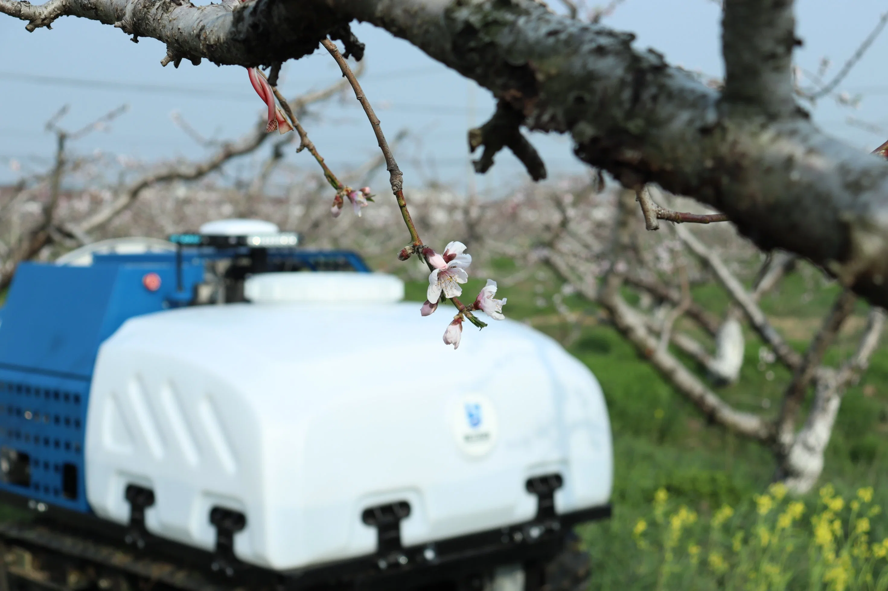 Unmanned Farming Equipment Agriculture Spray Robot